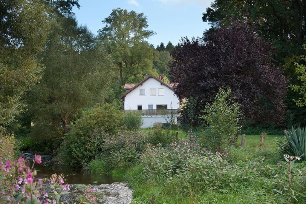 Wald-Apartment Limbach-Oberfrohna Luaran gambar