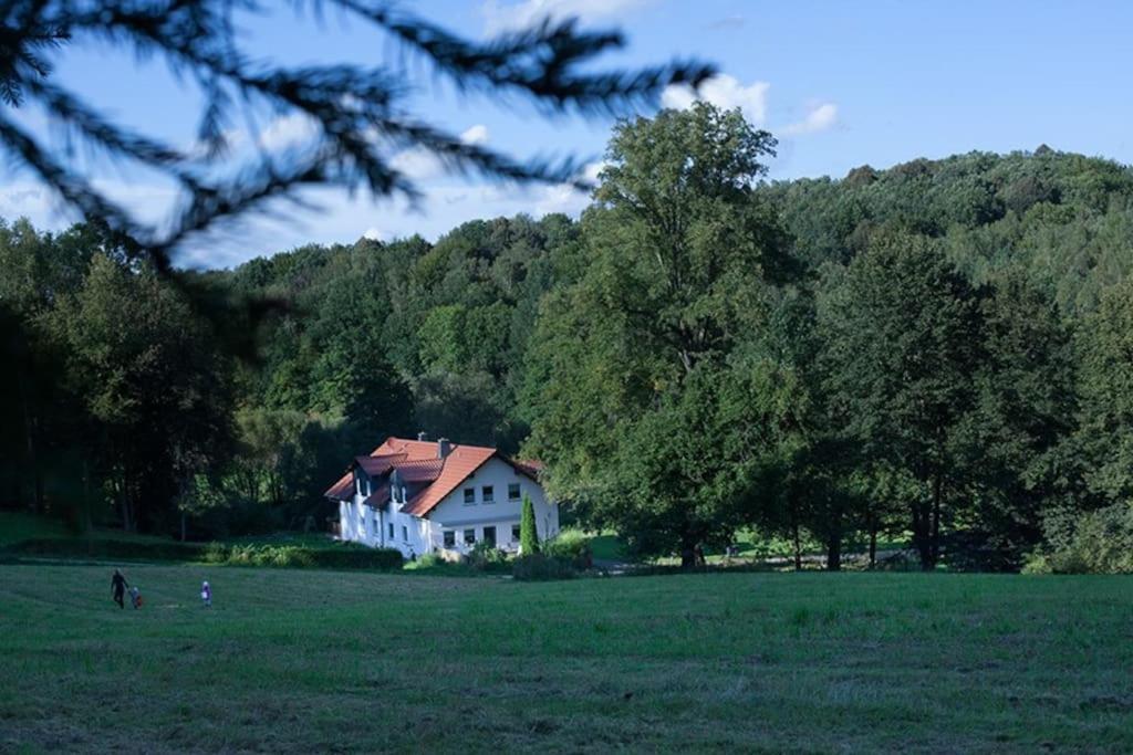 Wald-Apartment Limbach-Oberfrohna Luaran gambar