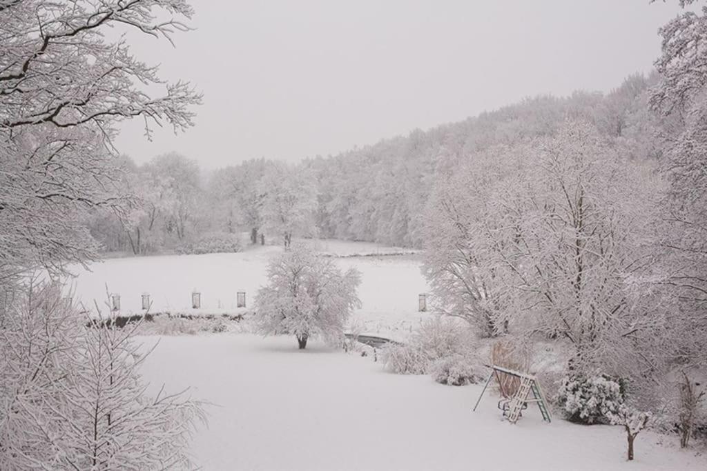 Wald-Apartment Limbach-Oberfrohna Luaran gambar