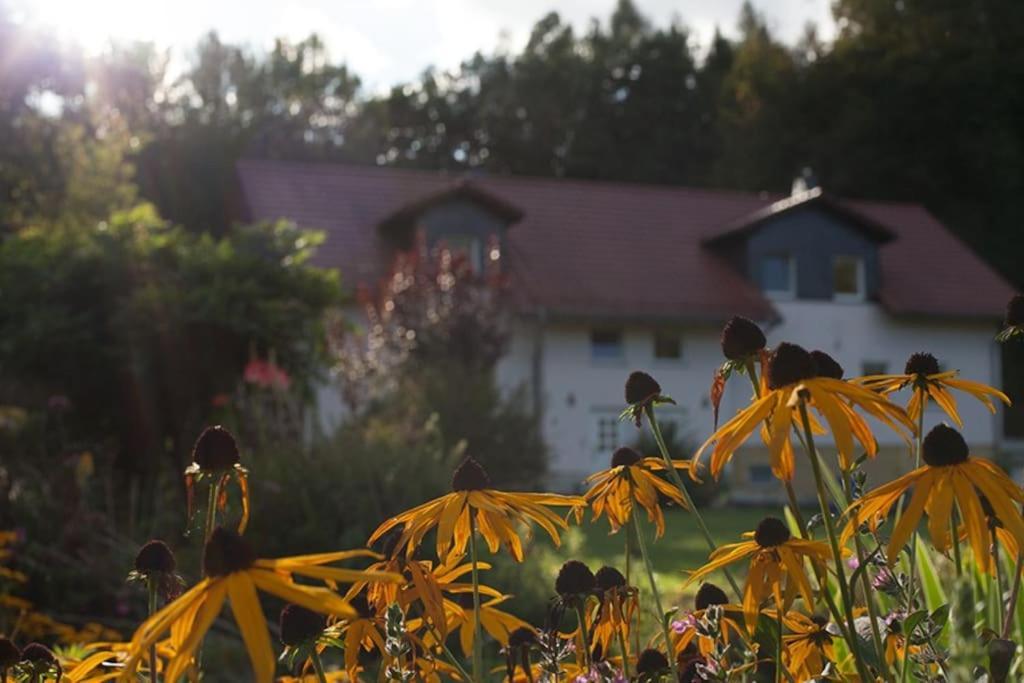 Wald-Apartment Limbach-Oberfrohna Luaran gambar