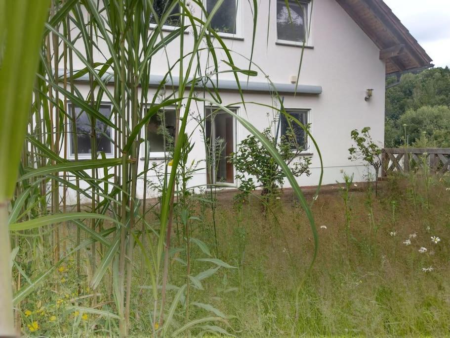 Wald-Apartment Limbach-Oberfrohna Luaran gambar