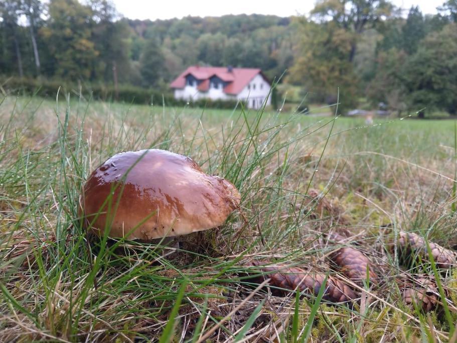Wald-Apartment Limbach-Oberfrohna Luaran gambar