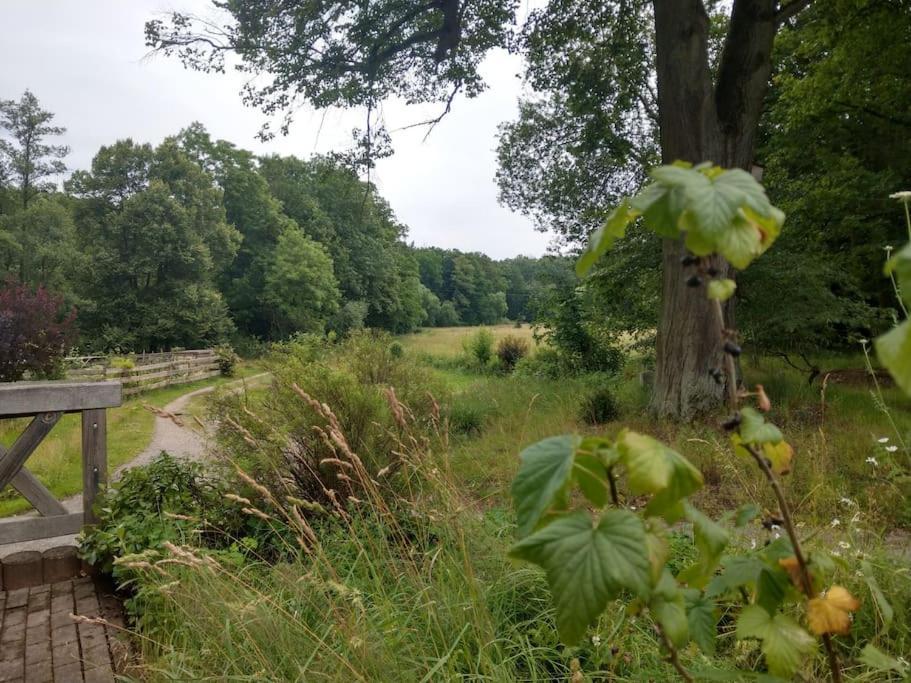 Wald-Apartment Limbach-Oberfrohna Luaran gambar